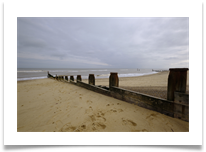 03_Beach - David Beech